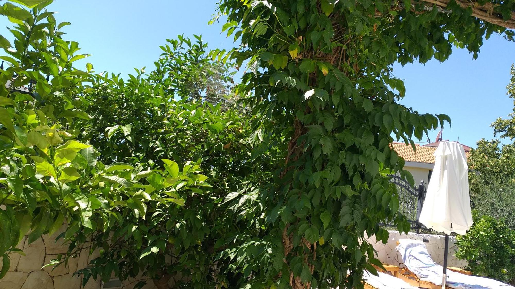 Villa Mira Trogir Værelse billede